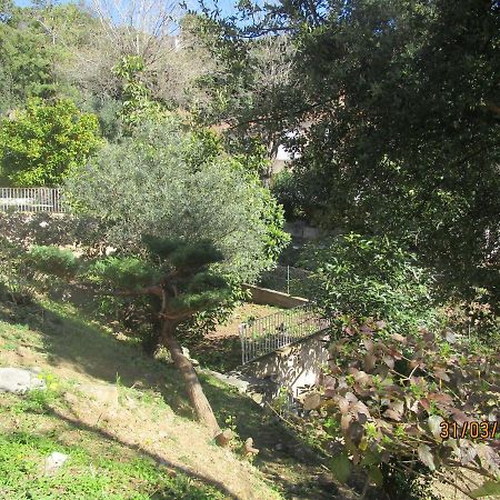 Chiapatella Bed & Breakfast Folelli Exterior photo